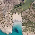 Ionia Avola