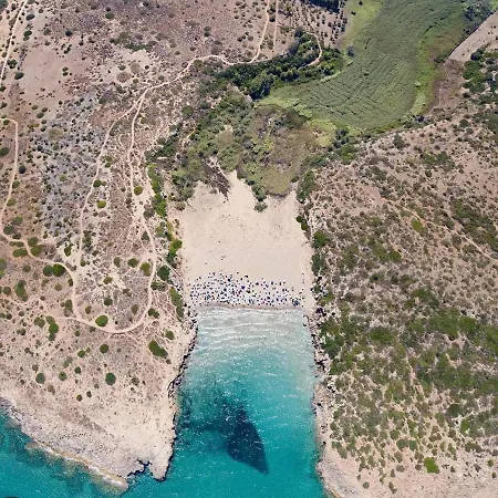 Ionia Avola